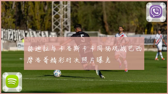 赫迪拉与卡洛斯卡卡同场观战巴西摩洛哥精彩对决照片曝光
