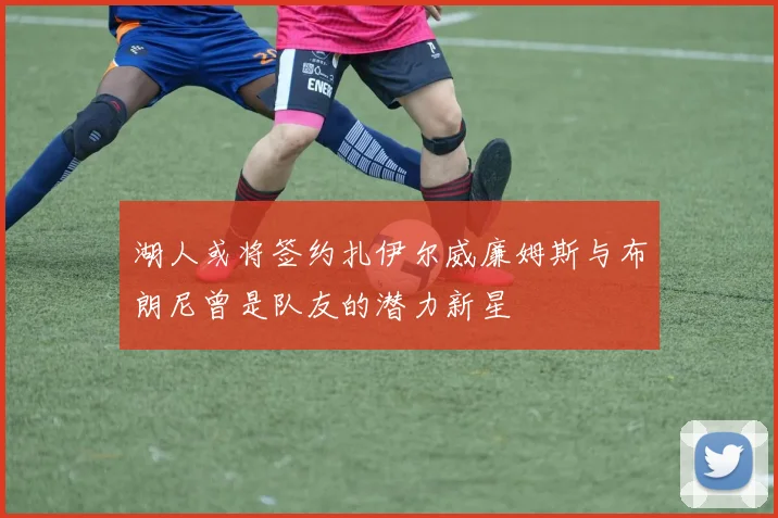 湖人或将签约扎伊尔威廉姆斯与布朗尼曾是队友的潜力新星